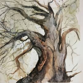 Ветреный день