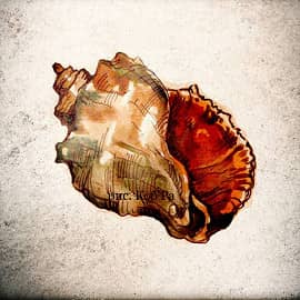 игрушка, в которой живёт море