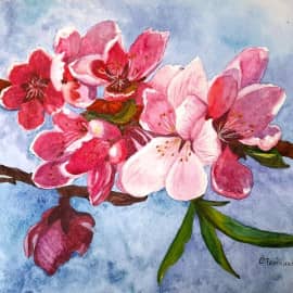 Персики цветут