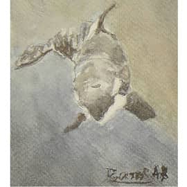 Касатка   2021  10.5 х 15  бумага акварель