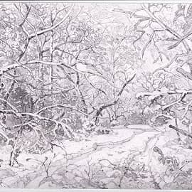 Зимняя дорожка в Лесу