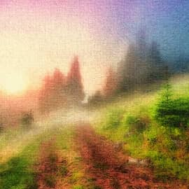 Туманная дорога