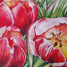 Тюльпаны
