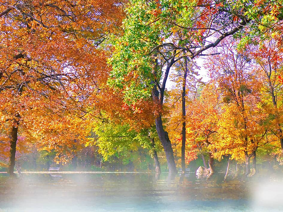 Туманный берег.