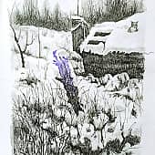 Суровая зима в хуторе