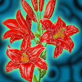 Красные лилии