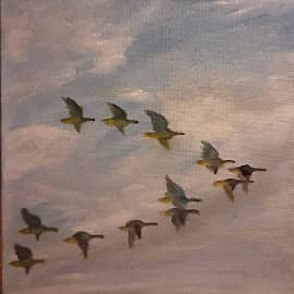 Стая в небе