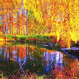 картины осени