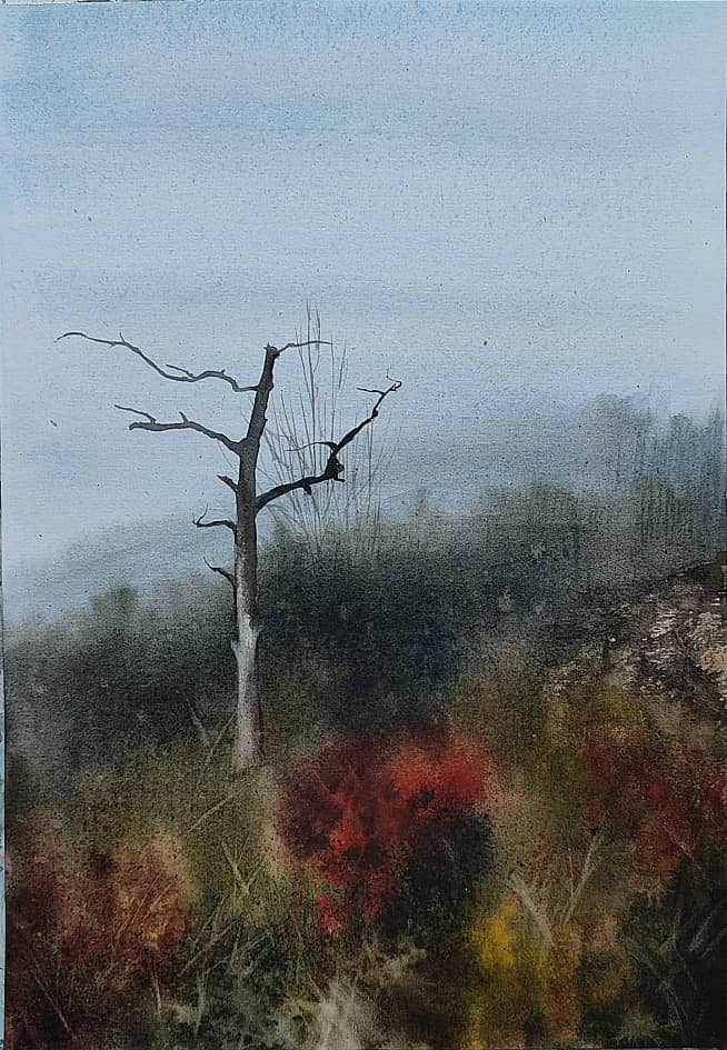 Осень в Жигулях #1