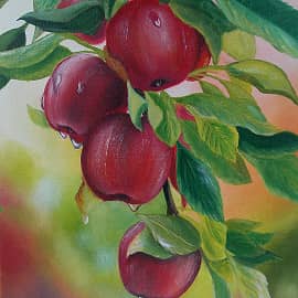 Яблочки после дождя.