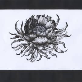 Цветок в черном