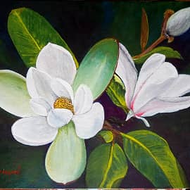 Цветы магнолии