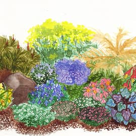 Рассадка на клумбе (журнал "Приусадебное хозяйство")