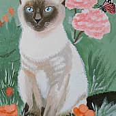 Кошечка Сима