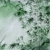 Листья бамбука