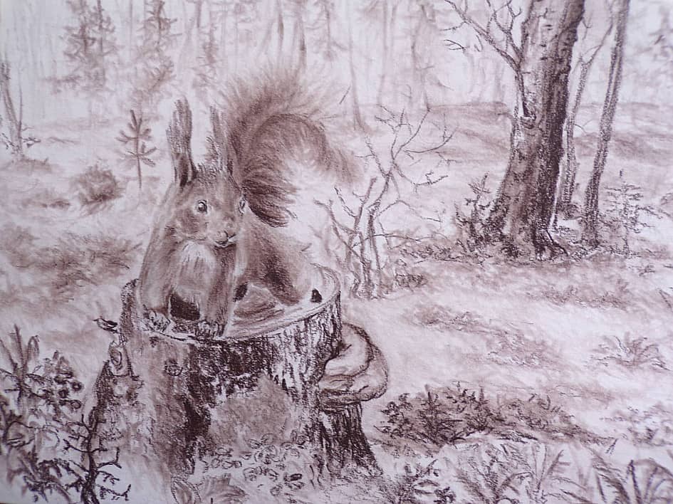 В Усинском лесу