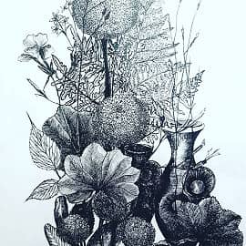 Флора полей.