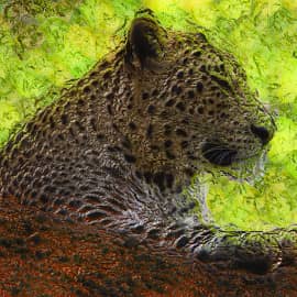 Животные 046