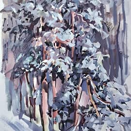 Зимнее солнце