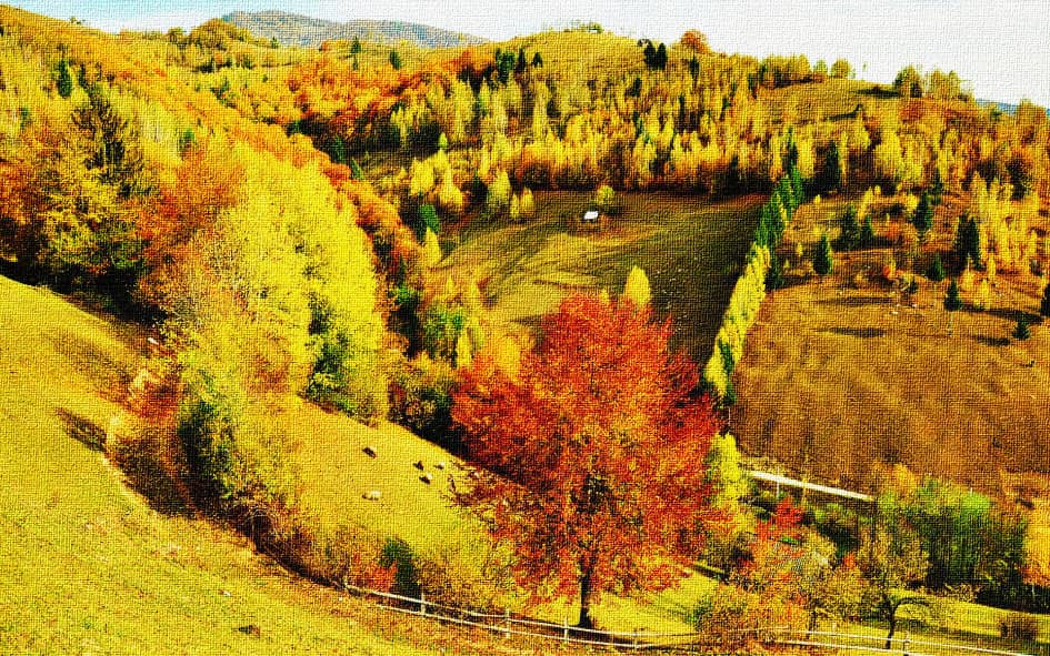 Осенние холмы.