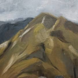 Родные просторы