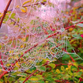 Замороженное мгновение.