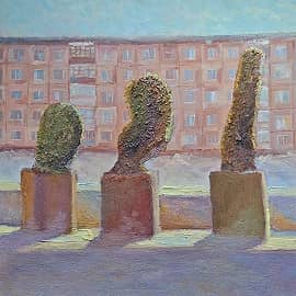 Кактусы