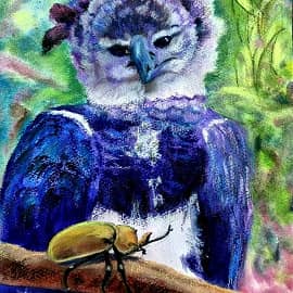 Южноамериканская гарпия