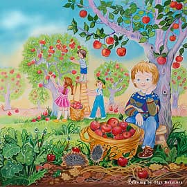 Сбор яблок