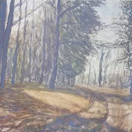 ВЕЧЕРНЯЯ ДОРОГА В ЛЕС.