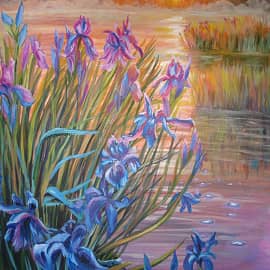 Ирисы в тумане.