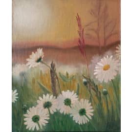 Ромашки в траве.