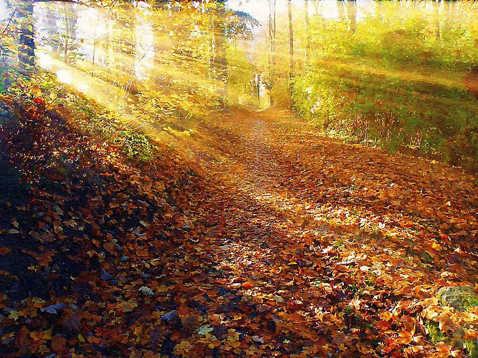 Рано утром.