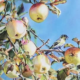 Сентябрь в саду. Яблочки. Птичка.