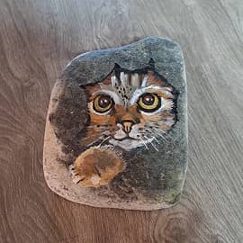 Котик на камне