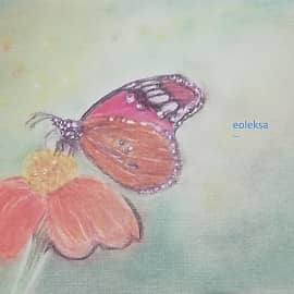 Бабочка на цветке