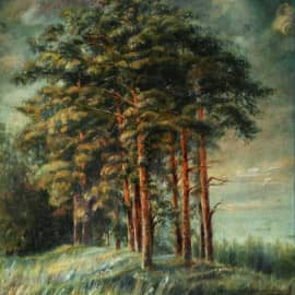 Освещённые солнцем