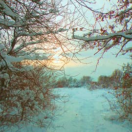 По тропинке.