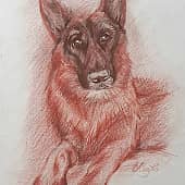 Марта Заказ Сангина, сепия