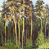 Теплый вечер