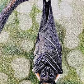 Вниз головой