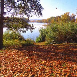 На берегу озера