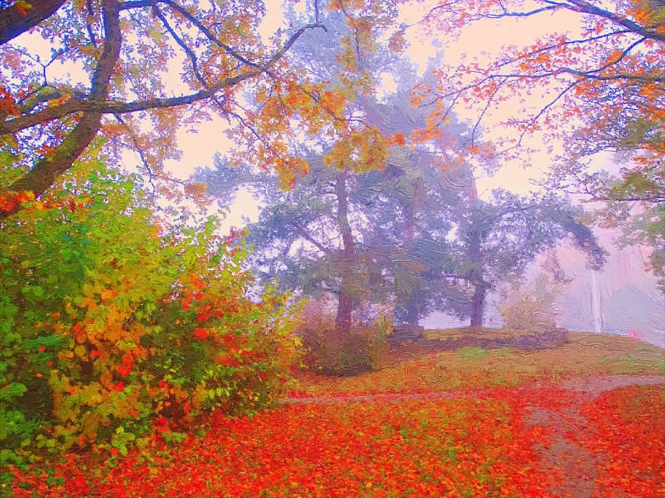 Осенние тропинки.