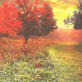 осенний туман,2