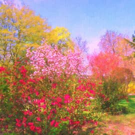 весна, красна