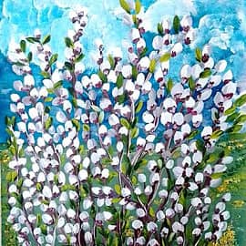 Красавица верба