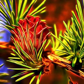 Еловая ветка