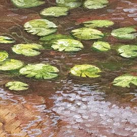 Мерцание на кувшинках