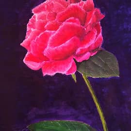 ВОЛШЕБНИК ДИВНОЙ НОЧИ "