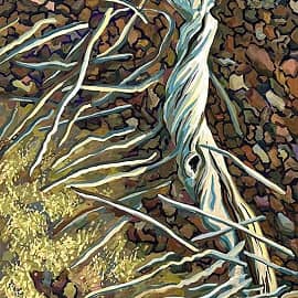 Фукуок. Коряга.